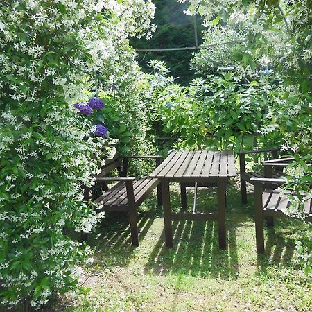Villa Banana Канобио Екстериор снимка