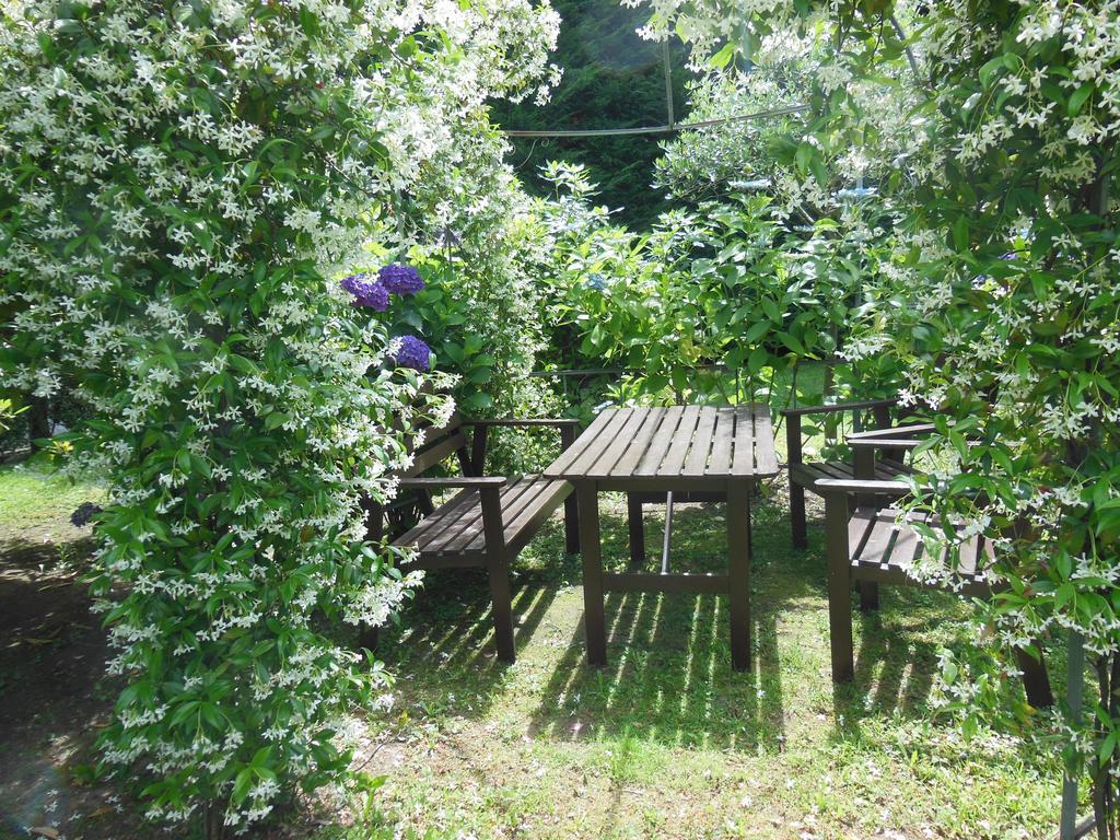 Villa Banana Канобио Екстериор снимка